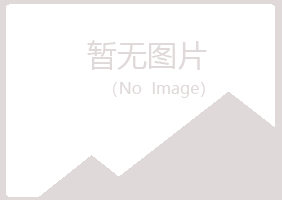 伊春新青如天土建有限公司